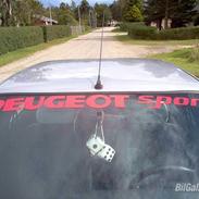 Peugeot 306 cashmere
