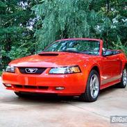 Amerikaner Mustang GT Convertible