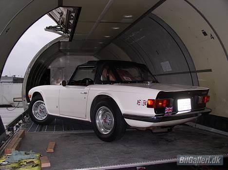 Triumph TR6  billede 7