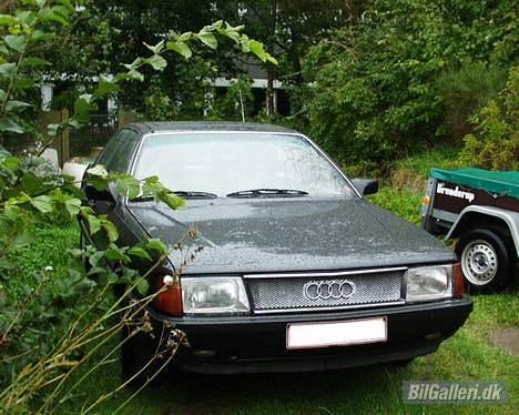 Audi 100  billede 1