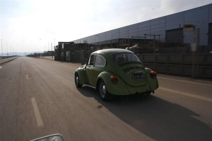 VW 1303 Bobbel > Die Grüne < - http://www.bilgalleri.dk/html/gal_visbil.asp?ID=108195&xl=true <-- Skriv linket i adr. bar for bedre og større billeder... billede 4