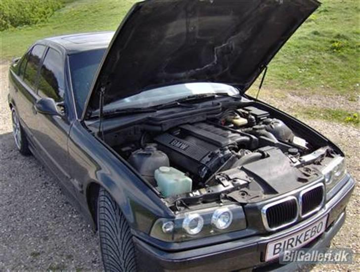 BMW 325i billede 6