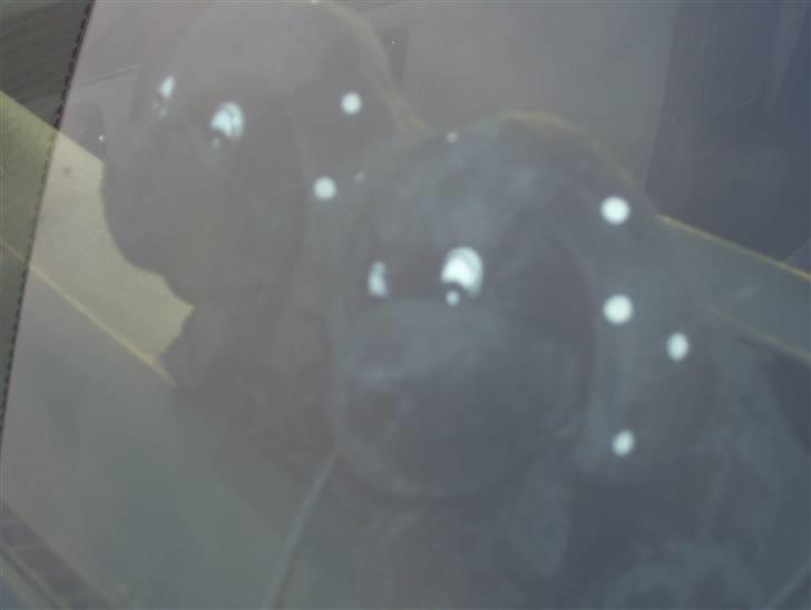 VW golf 2 td  billede 10