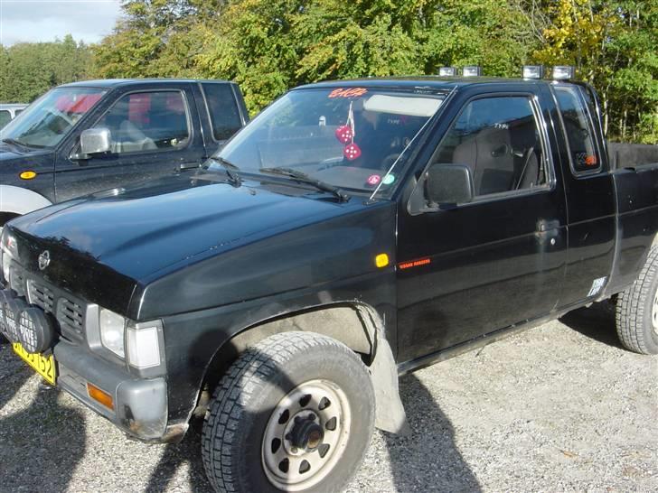 Nissan kingcab skroted  billede 2