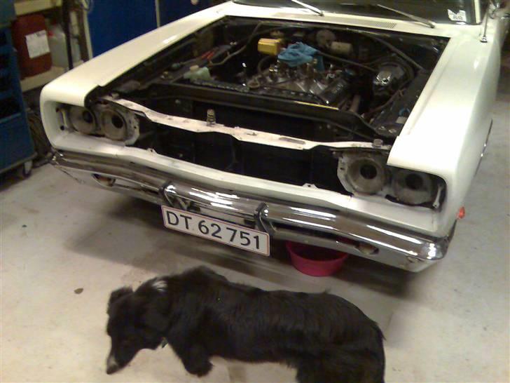 Dodge Coronet 500 - Af med hood, og min hund Cuda hjælper gerne til :) billede 10