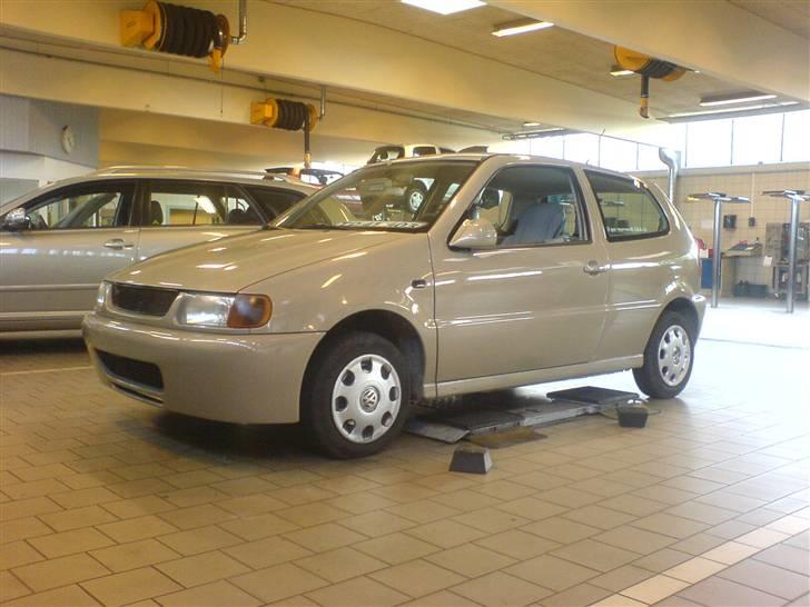 VW polo 6N... (solgt) - Bilen lieg fter den blev samlet billede 3