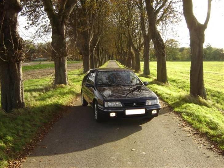Citroën ZX 1,6i 3d. *SOLGT* - På skovtur! billede 14