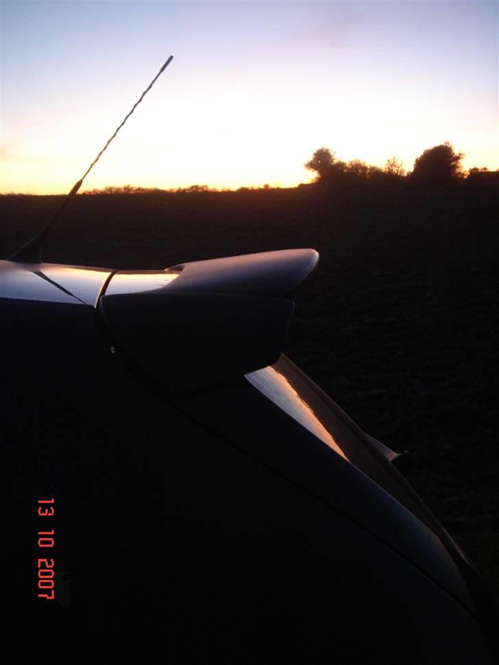 Seat Altea billede 16