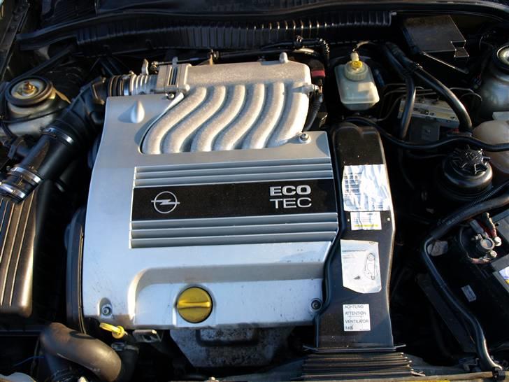 Opel Calibra 2,5 v6 *Solgt* - Det dejlige hjerte, der for denne pragtmaskine til at hvæse højlydt :)  billede 2