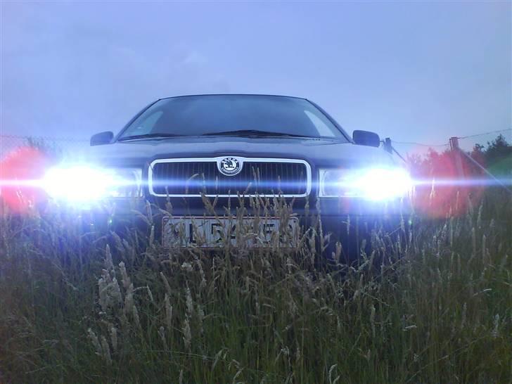 Skoda octavia billede 10