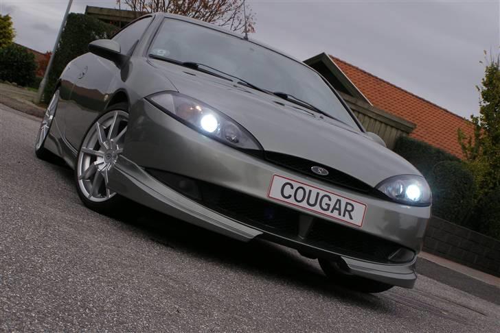 Ford Cougar billede 14