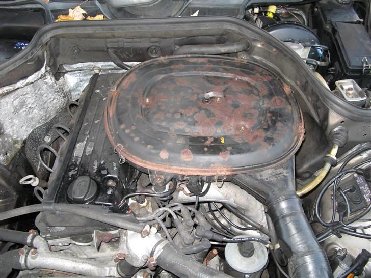 Mercedes Benz 230 E (W124) - Billedet her, vil jeg prøve at redigere i photoshop, så jeg kan se, hvordan det kommer til at se, det jeg havde tænkt mig billede 19