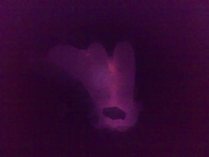 Toyota Camry  - manifolden er lidt lun efter en cup tur he he  billede 20