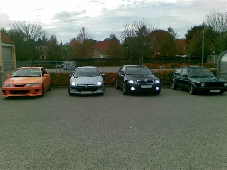 Peugeot 206 1,4 hdi - Det første træf i bjerringbro...lille fremmøde men hyggeligt....vi bliver flere næste gang... billede 17