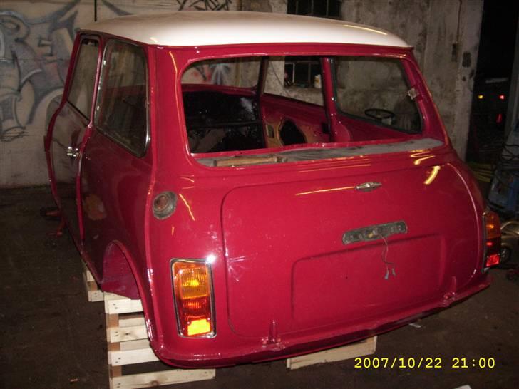 Mini maskot  billede 7