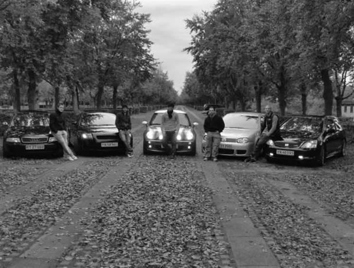 Honda Civic Type R *solgt* - Fra bildag med gutterne d. 20 okt 2007, Fra venstre: Audi A4 1,8 T + Audi TT + Mini Cooper S + VW Golf 4 1,8 T + Honda Civic Type R = 930 HK :0) billede 19