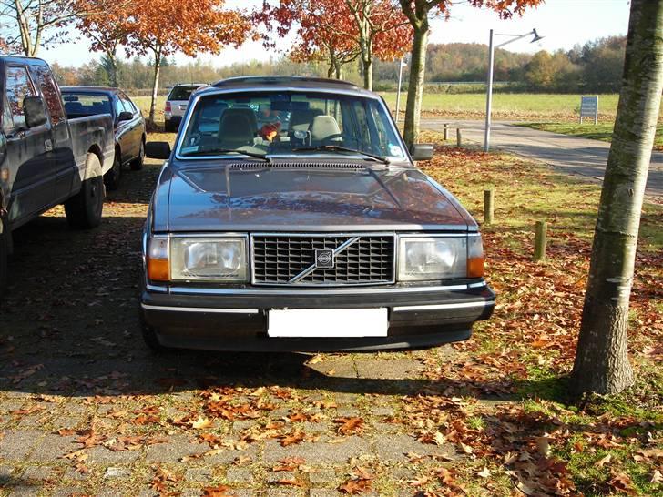 Volvo 240 GL billede 11