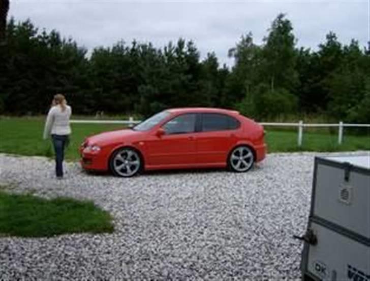 Seat leon- Solgt billede 20