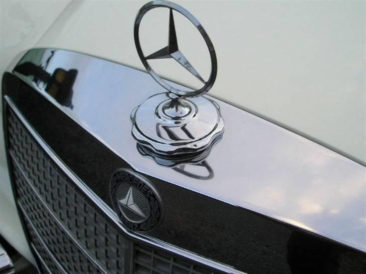 Mercedes Benz 280S/8 billede 6