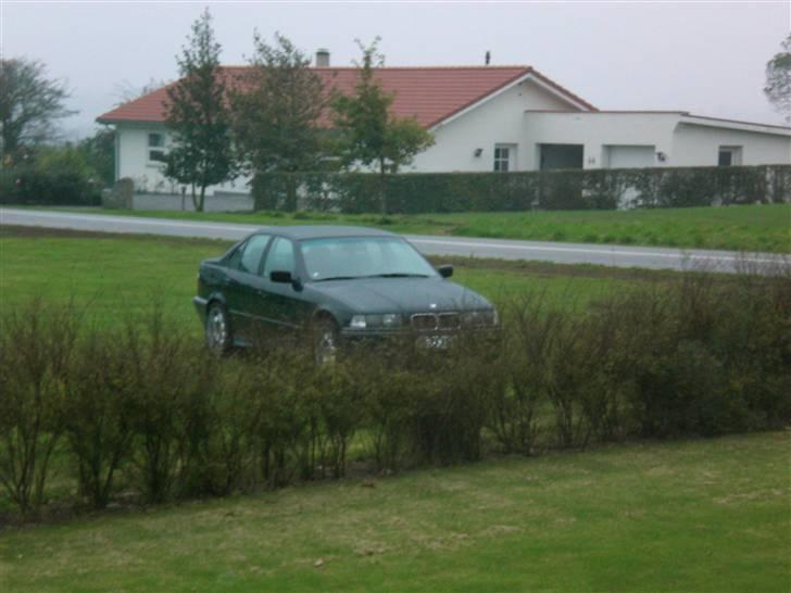 BMW 316i e36 billede 1