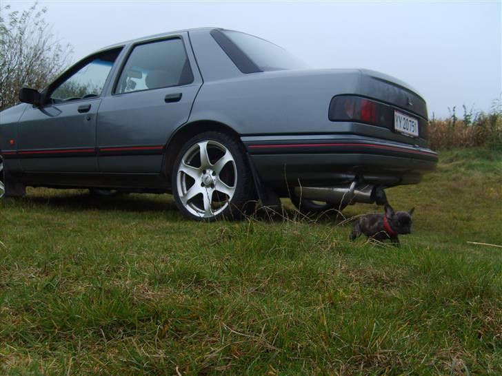 Ford Sierra 2,0 DOHC SOLGT billede 3