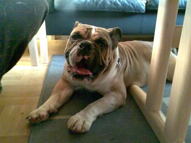 Toyota Sportsvan *SOLGT* billede 12