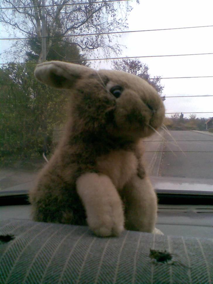 Ford Granada 2,3 - Min lille maskot billede 12