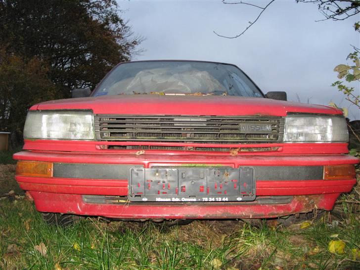 Nissan bluebird  billede 3