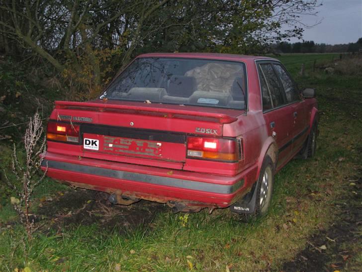 Nissan bluebird  billede 5