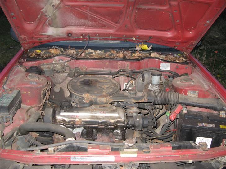 Nissan bluebird  billede 7