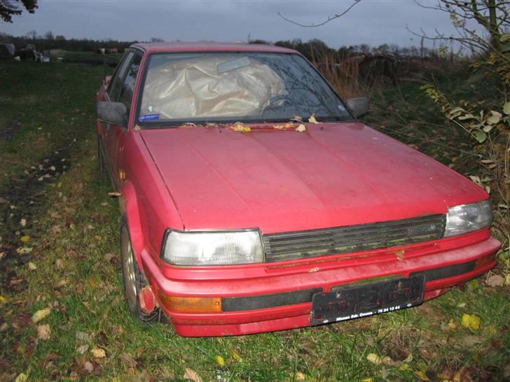 Nissan bluebird  billede 10