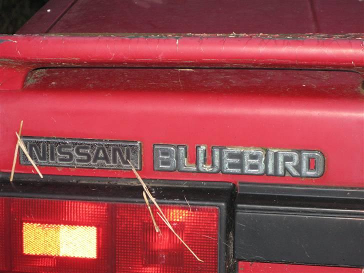 Nissan bluebird  billede 15
