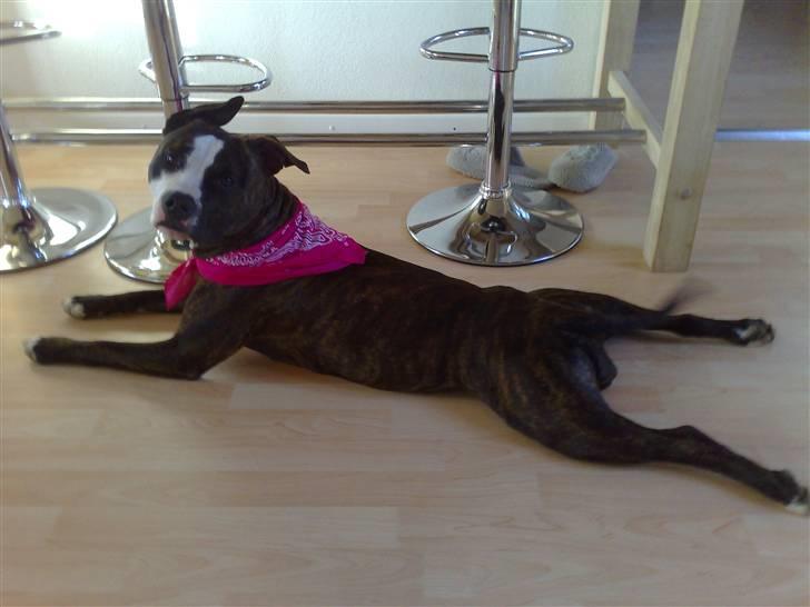 Alfa Romeo 156 2.5 V6 24V  -SOLGT-! - Min lille Mille... :) billede 19