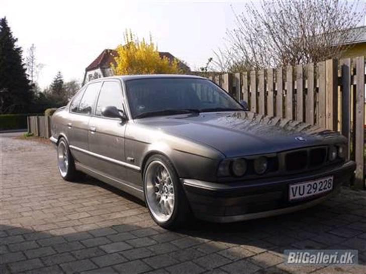 BMW 530/M5 SOLGT billede 2