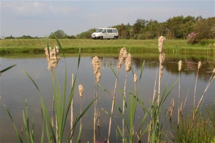 VW Transporter California billede 5