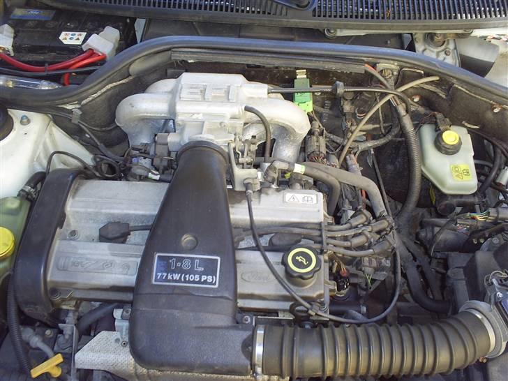 Ford Escort 1.8 clx  billede 19