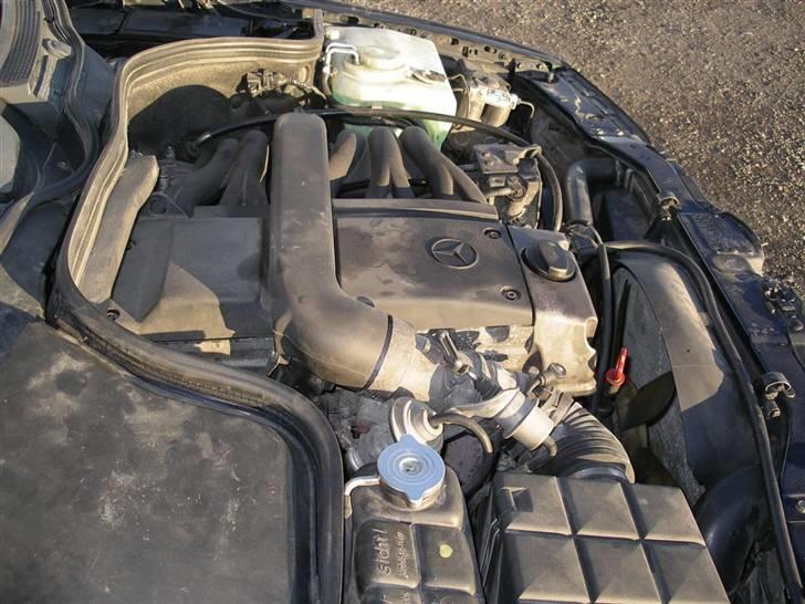 Mercedes Benz [SOLGT] W202 C 250  D  billede 16