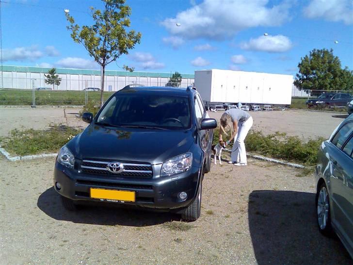 Toyota   RAV4 D-CAT - Dejlig baggrund :) billede 14