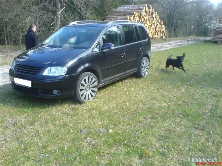 VW Touran ~ Highline 5p. - Forår 08...Med de gamle A8-fælge og uden Krom Spejle og håndtag... billede 2