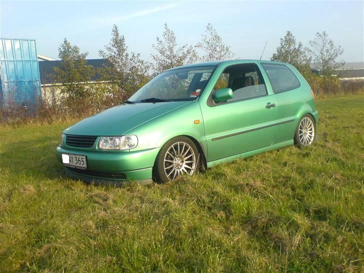 VW polo 6n solgt billede 9