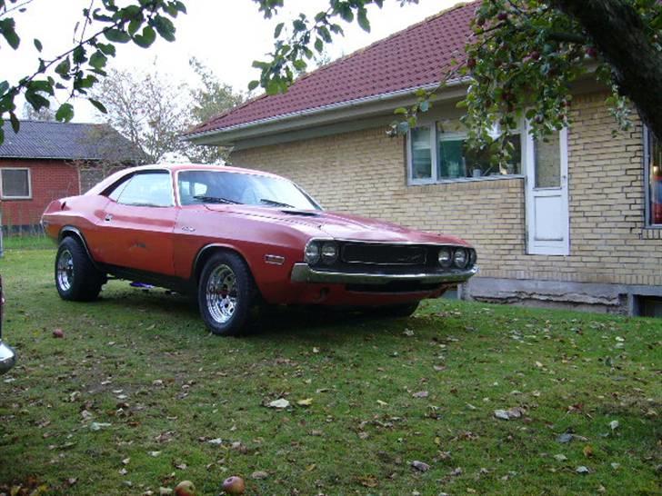 Dodge challenger billede 1