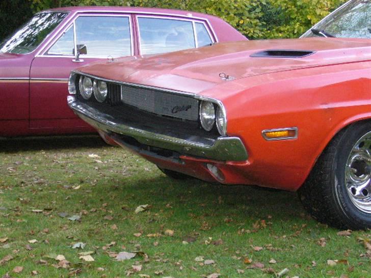 Dodge challenger billede 6