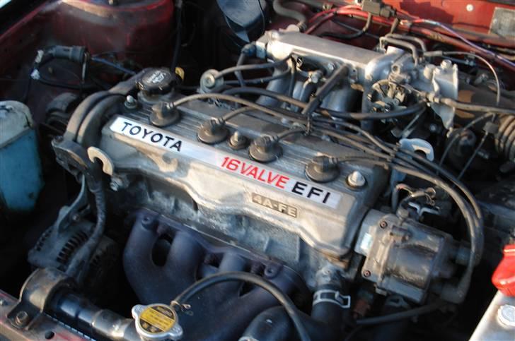 Toyota Corolla  billede 9