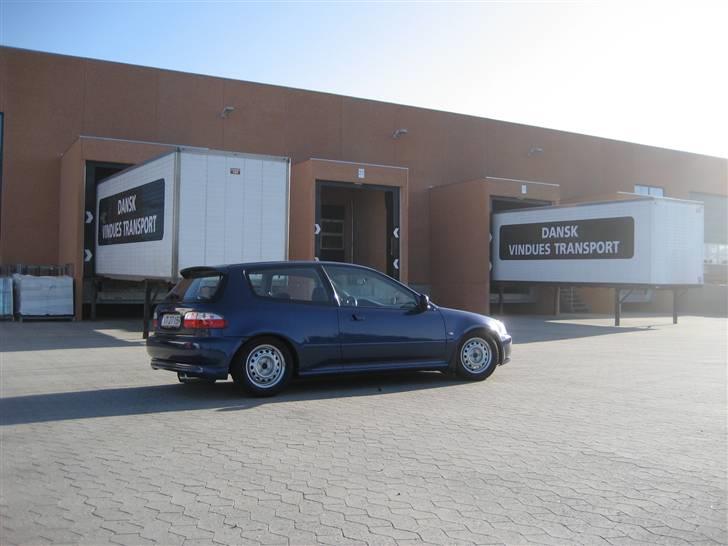 Honda Civic billede 10