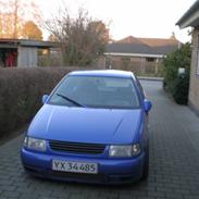 VW Polo Colour Concept