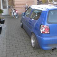 VW Polo Colour Concept