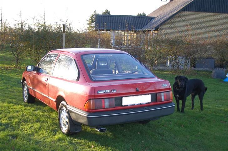 Ford Sierra 1,6 ( SOLGT ) billede 3