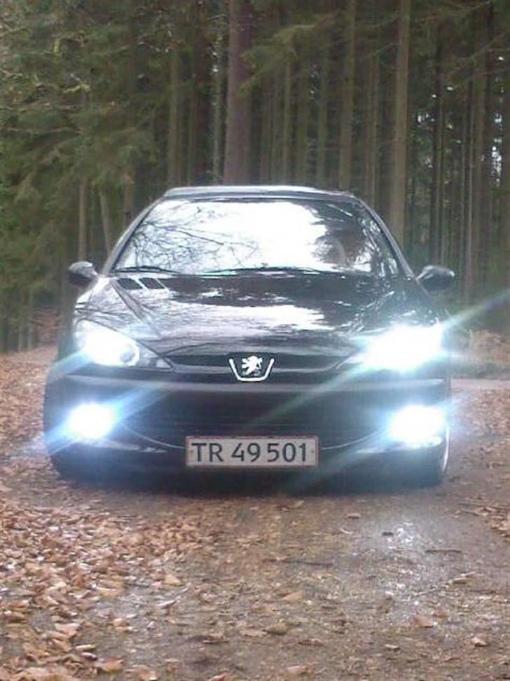 Peugeot 206 Gti billede 3