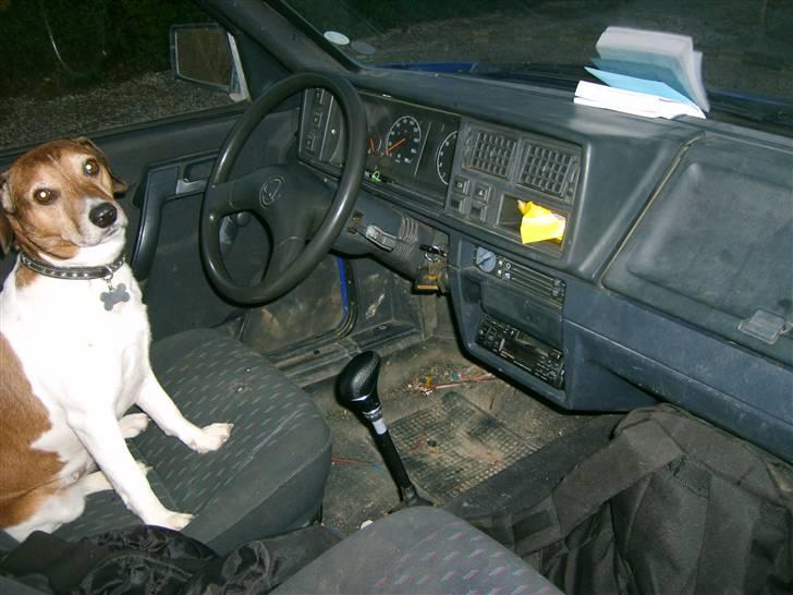Skoda Favorit Pick up SOLGT - Den eneste af mine biler min hund får lov at komme ind i. billede 5
