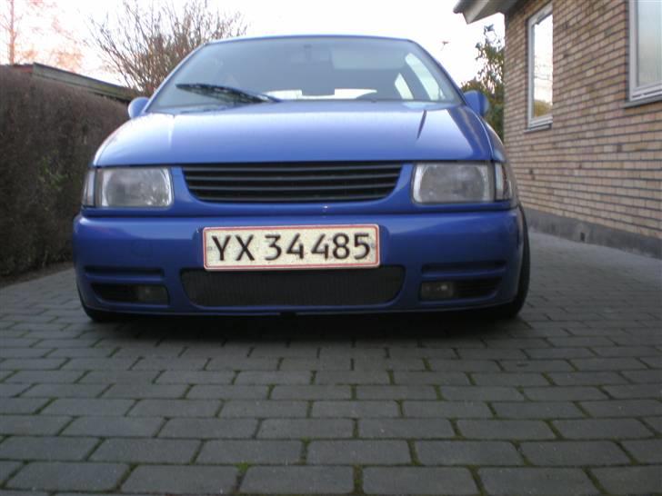 VW Polo Colour Concept billede 1